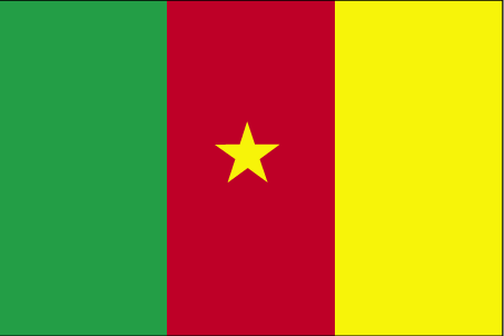 Nationalflagge Kamerun