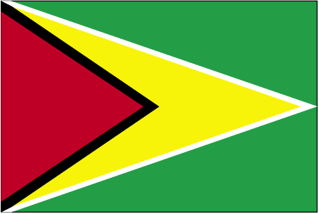 Nationalflagge Guyana