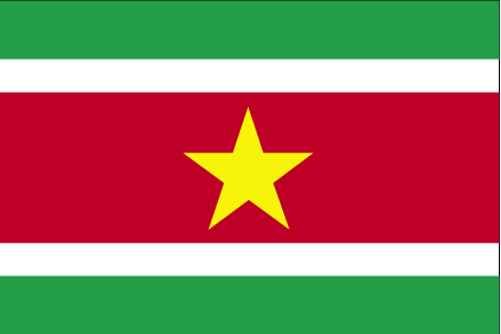 Nationalflagge Suriname